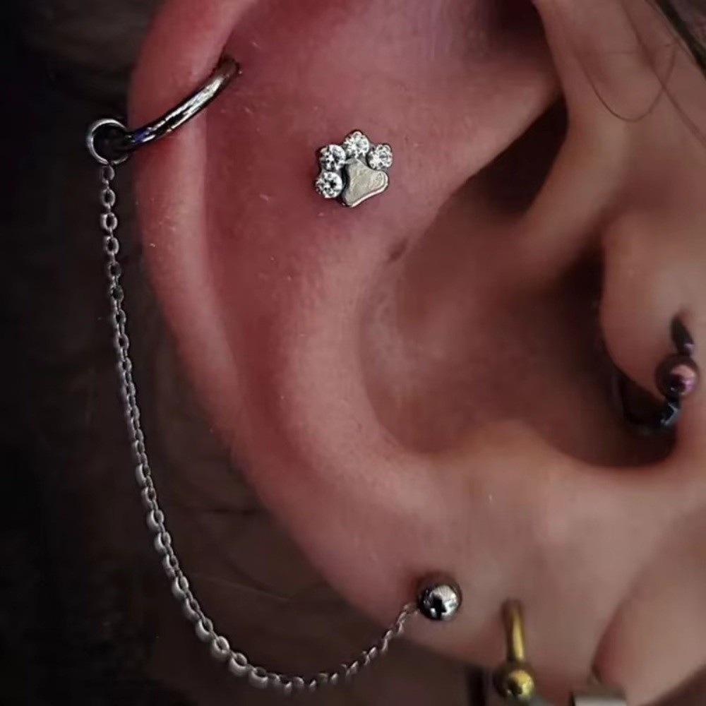 Титановая цепочка для носа, тр – обзор и цена Body Jewelry Piercing